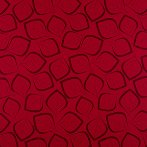 Birch Crib5 Vinyl 137cm w Col. Crimson